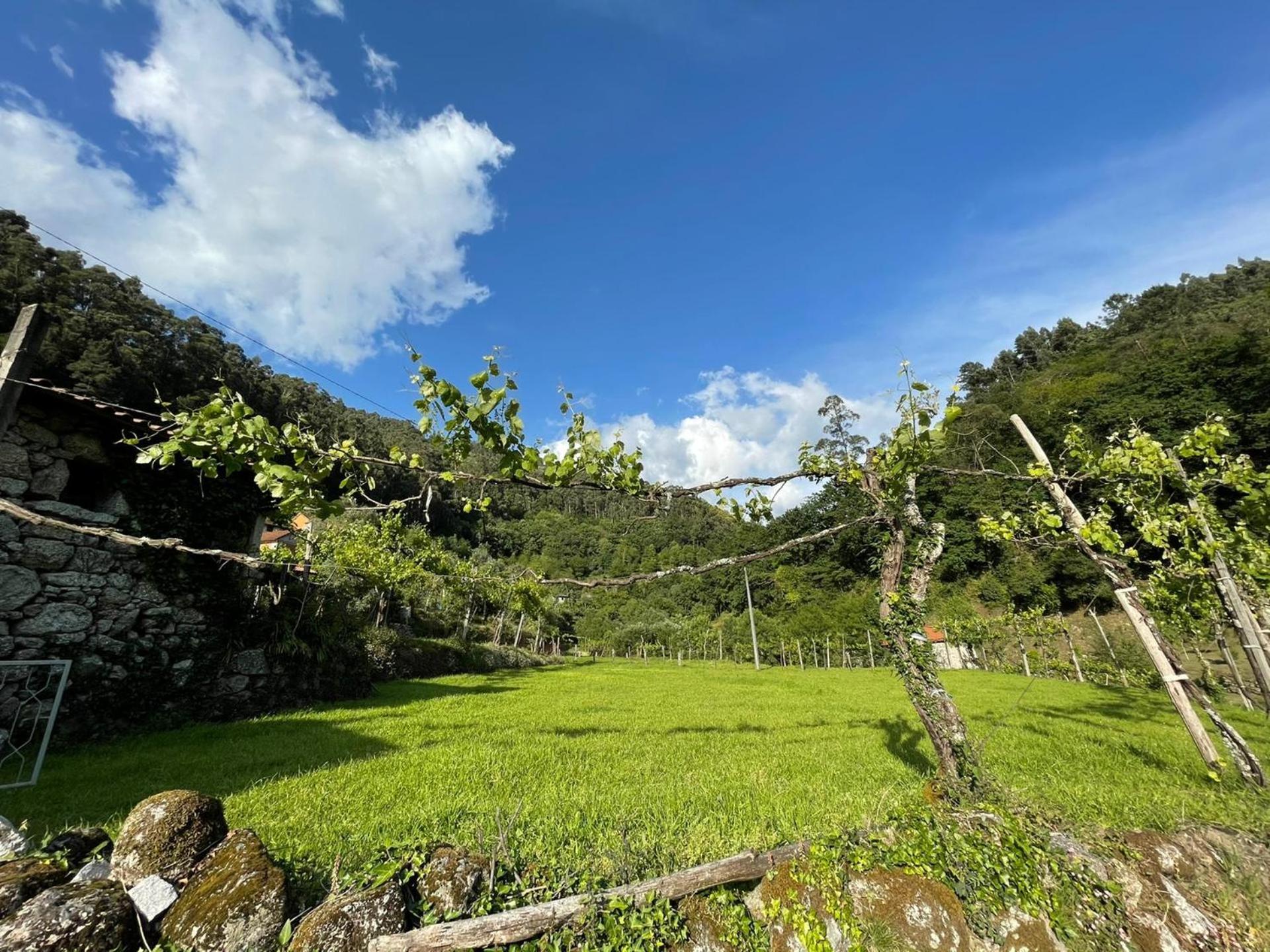 Holiday home Casa Museu Lagar De Azeite